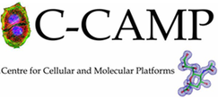 C-CAMP